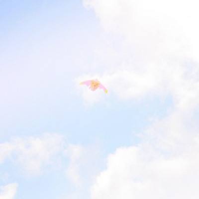 子阳画质助手免费下载安装